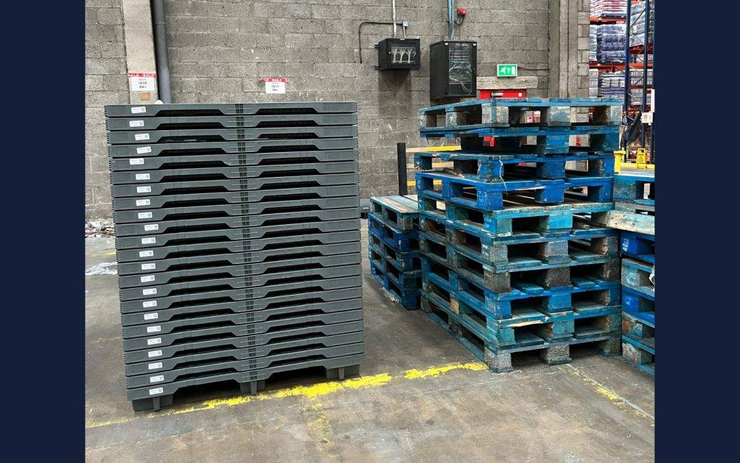 Why are Reusable Plastic Pallets taking over?