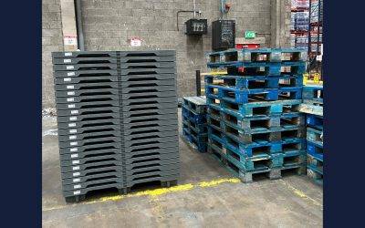 Why are Reusable Plastic Pallets taking over?