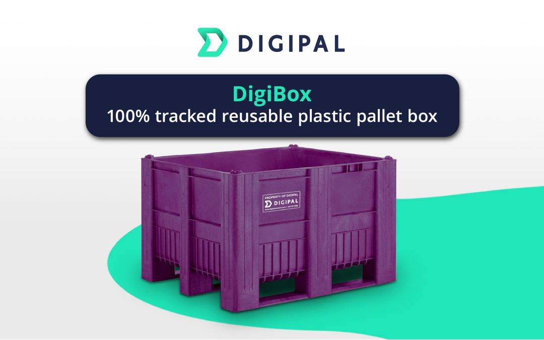 Digipal launches 100% tracked reusable plastic pallet box