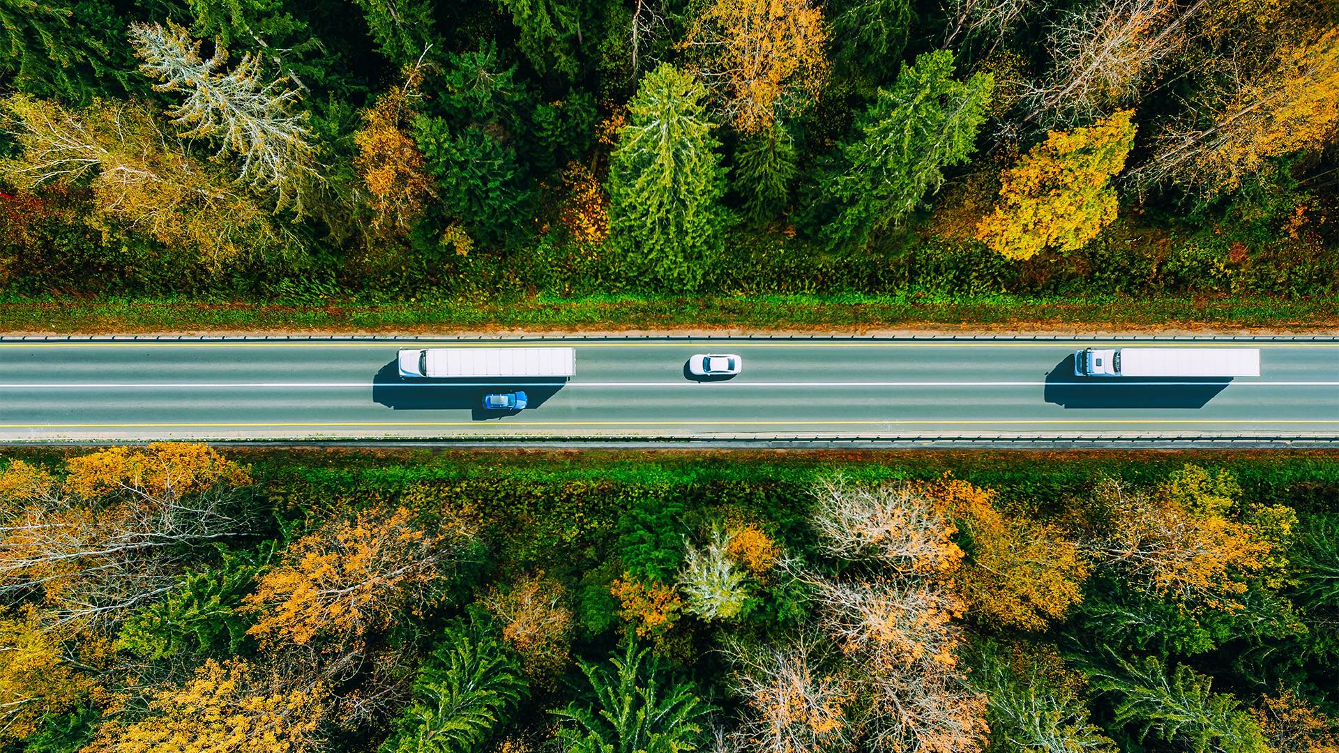 Food being transported in van